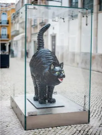 The Black Kitten Ii *