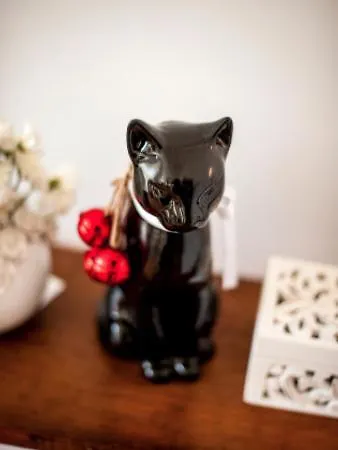 The Black Kitten Ii 칼다스하이냐