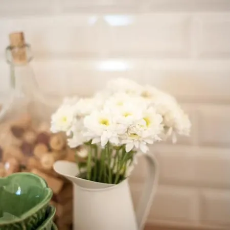 公寓 The Black Kitten Ii 卡尔达斯达·赖尼亚