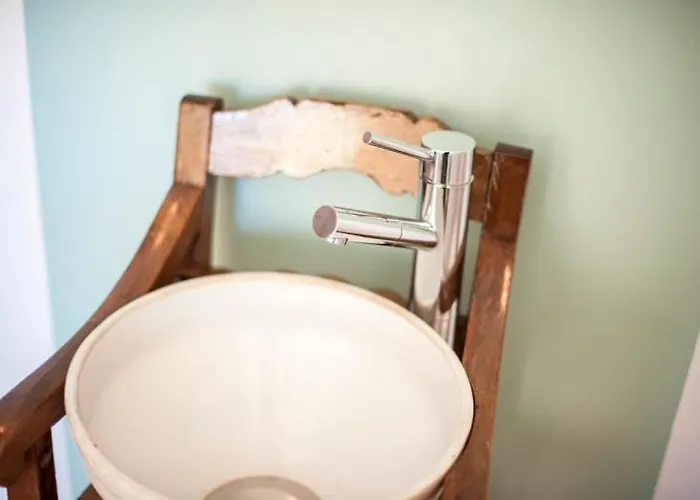 The Black Kitten Ii 卡尔达斯达·赖尼亚