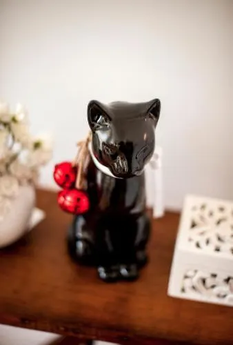 The Black Kitten Ii 卡尔达斯达·赖尼亚